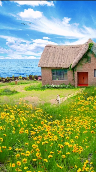 海边小屋