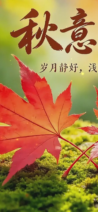 秋意浓