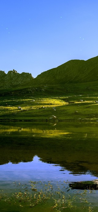 ins护眼油画唯美