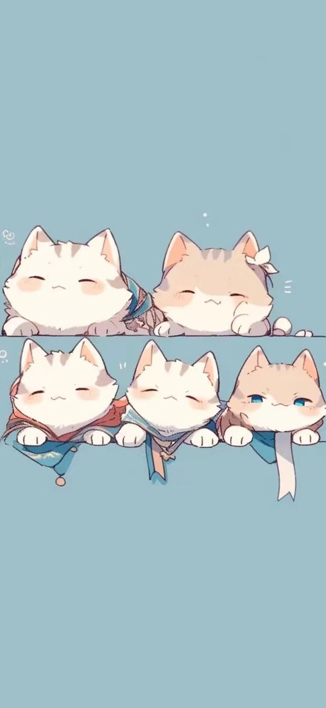 可爱小猫 治愈