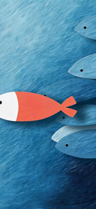 极简美学 ~桌面鱼群（静态版）