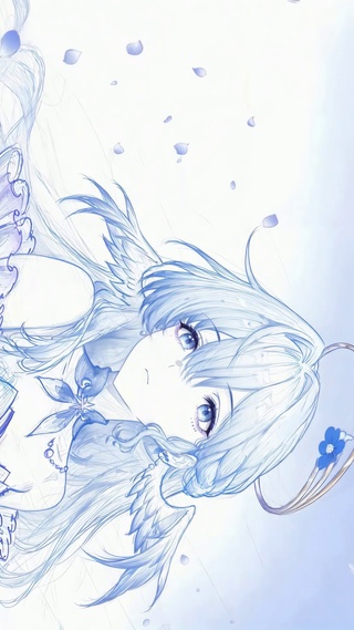 简约线画知更鸟