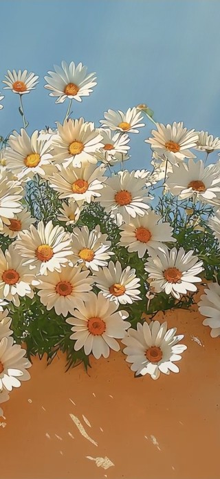 风中摇曳的小皱菊