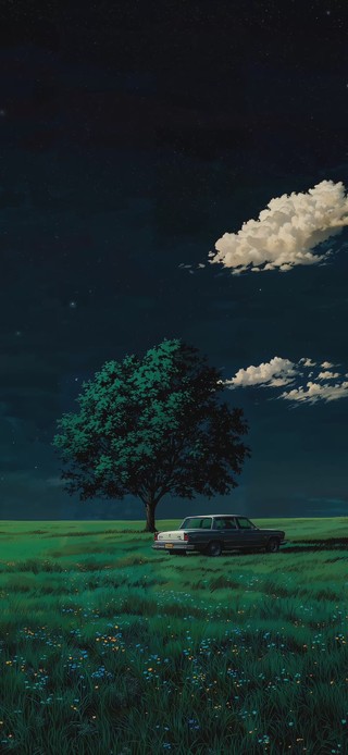 星野夜泊