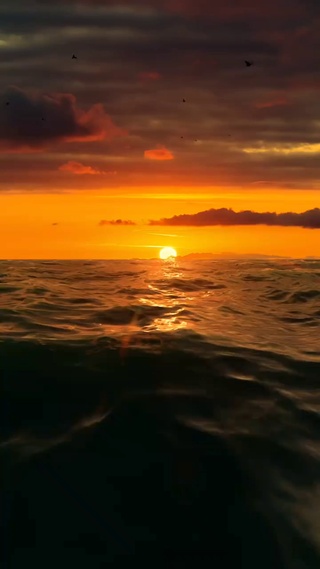 曾经沧海难为水