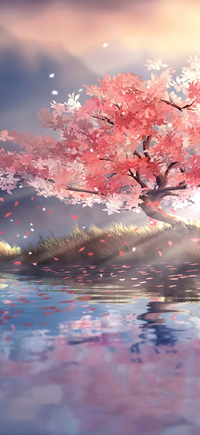 治愈水上樱花树