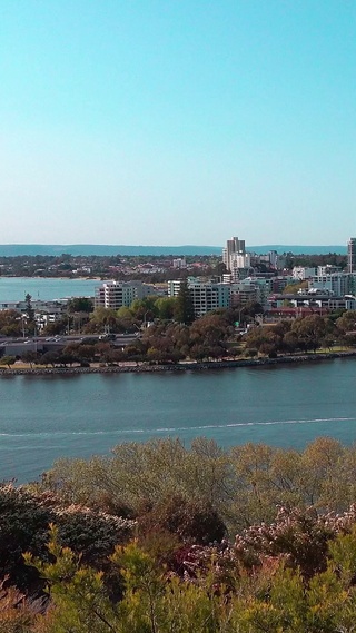 海边城市风景