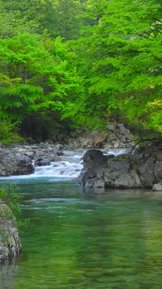 绿林溪流