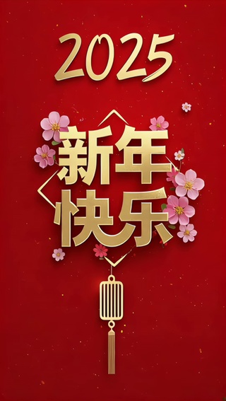 2025新年快乐🎊🎊