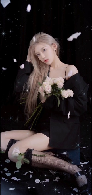玫瑰少女