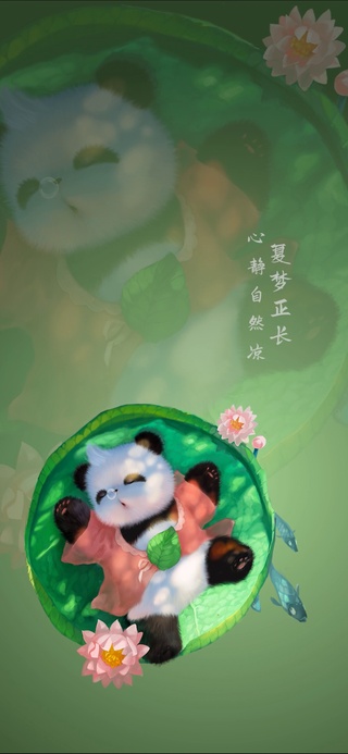 熊非熊夏日清凉睡莲