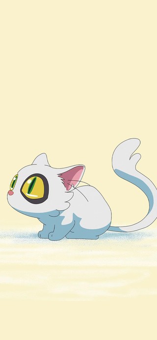 可爱小猫