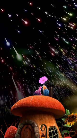 陪你去看流星雨