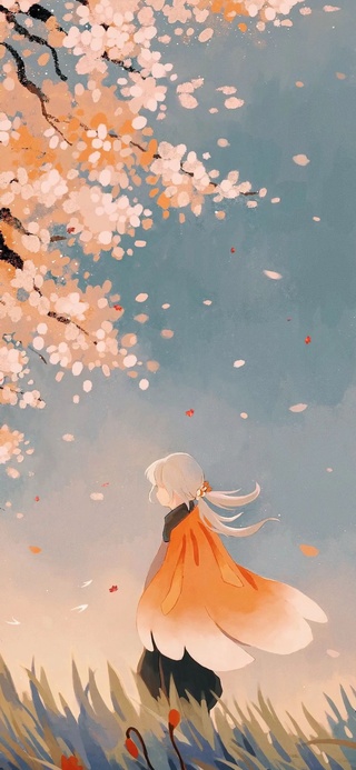 枫叶少年