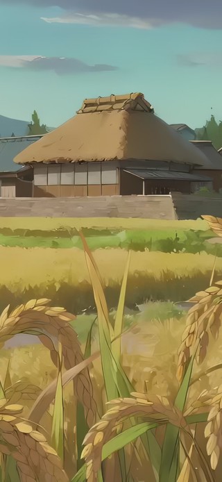 金秋乡村稻田