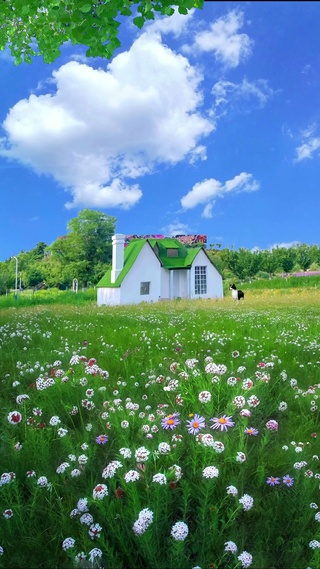 绿色护眼治愈美景