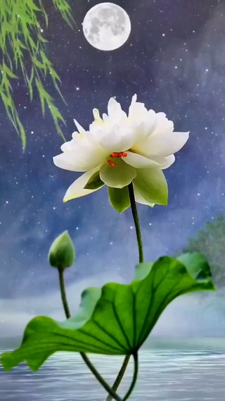  阅一卷书，丰盈淡雅人生；捻一朵花，诗意素锦华
