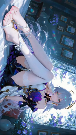知更鸟