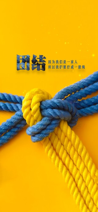 团结就是力量②