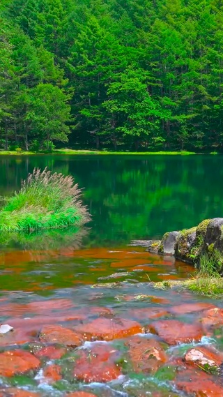 4K夏日青山绿水湖