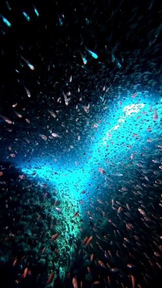 海底世界