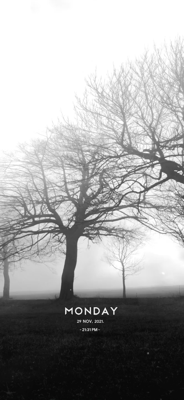 6K 超清治愈【晨雾】