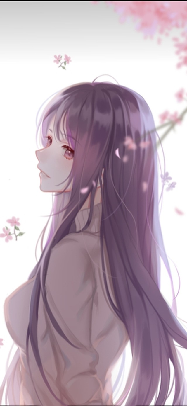 宝儿姐