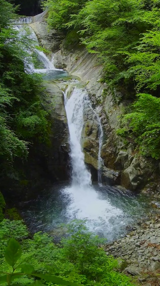 4K绿林山涧溪流