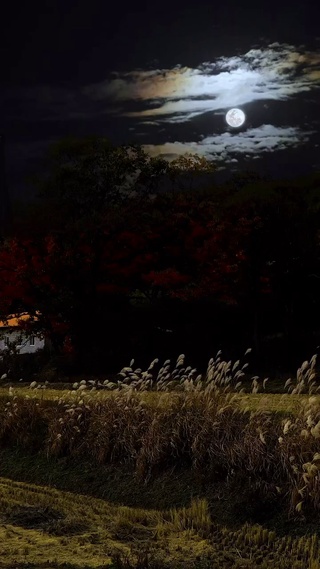 夜晚乡村田野