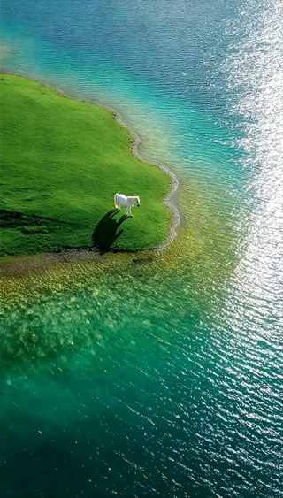 梦海