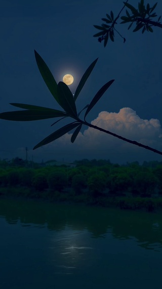 4k超清治愈唯美