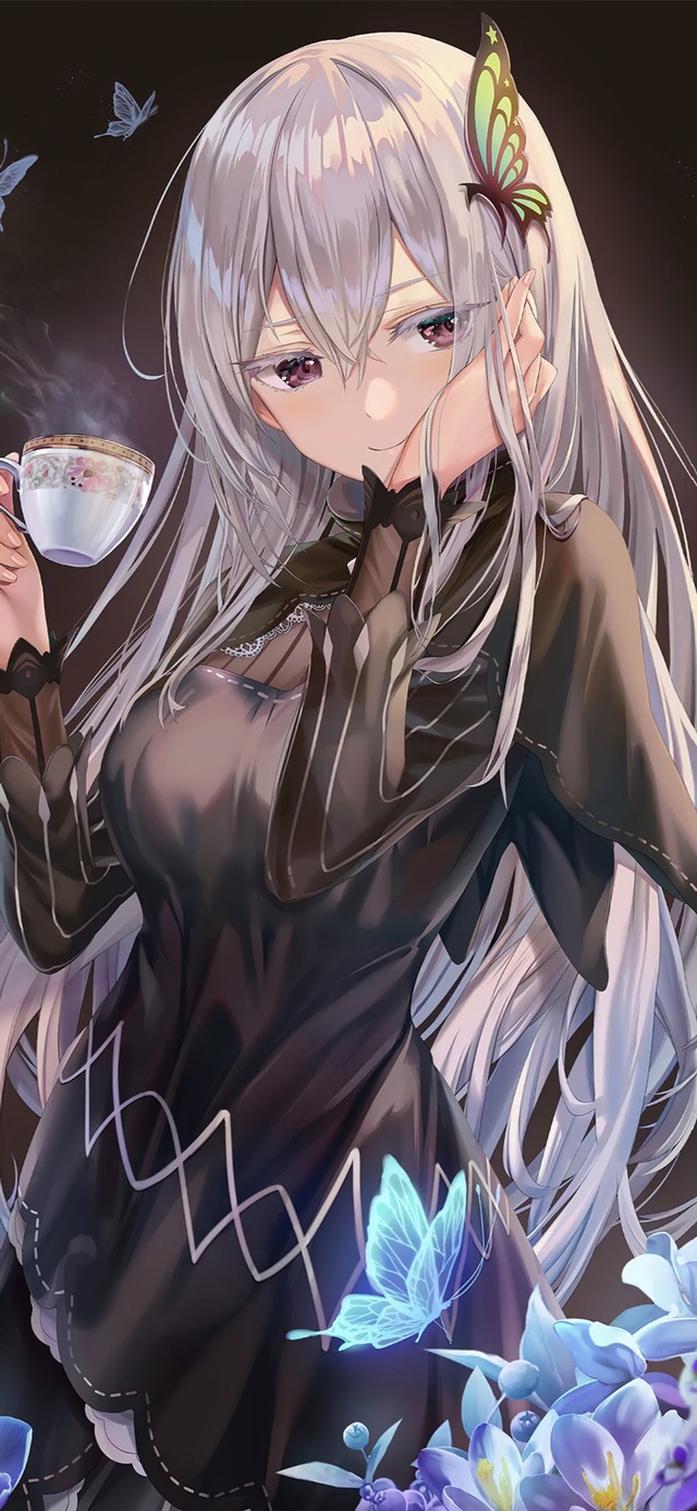 魔女艾姬多娜