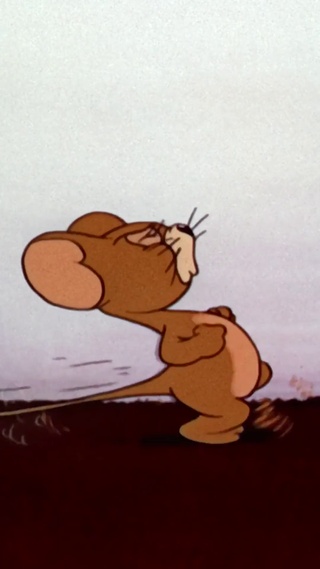 生活是只调皮的猫