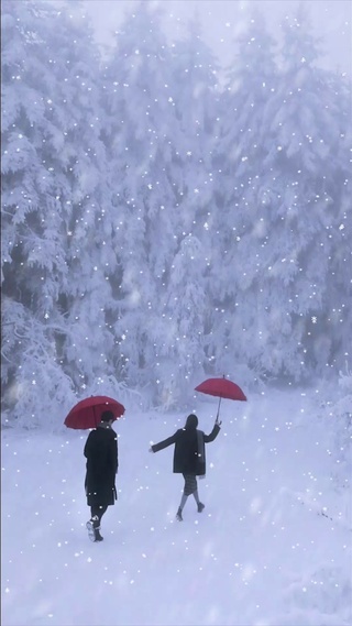 雪中情