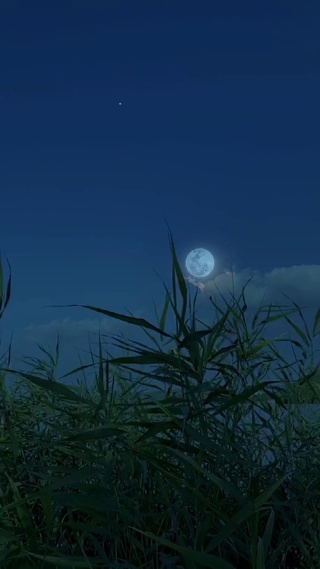 月光
