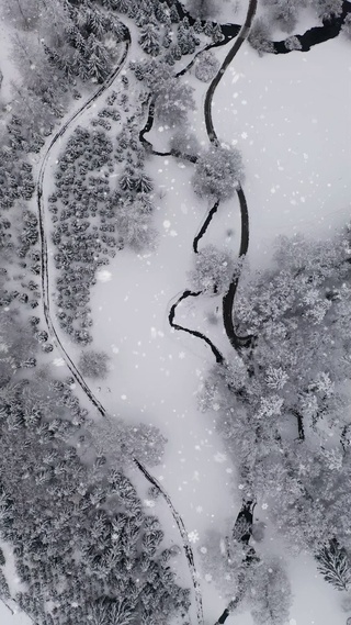 雪(完整)
