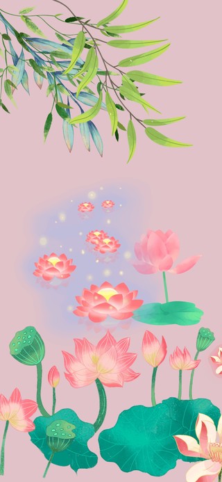 夏日荷花