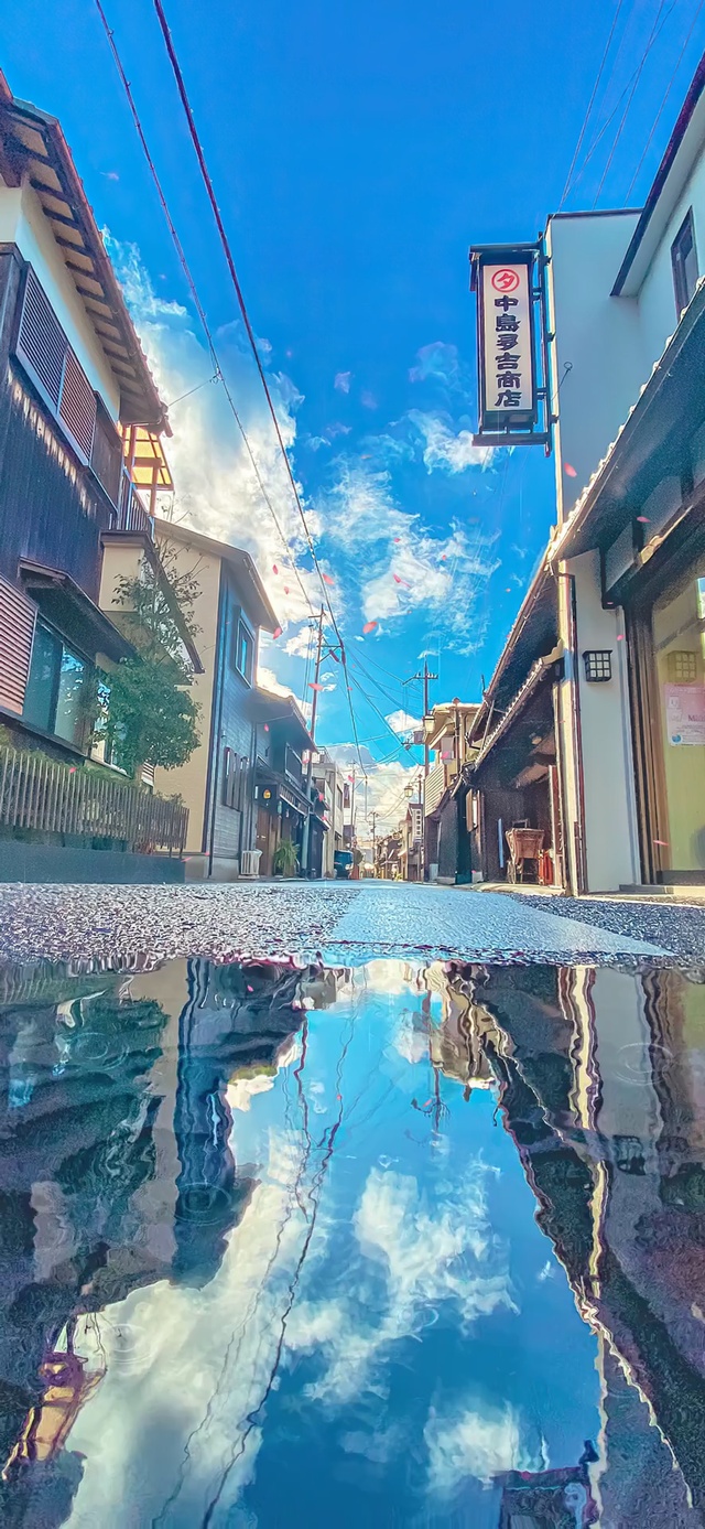 4K唯美治愈阳光小巷