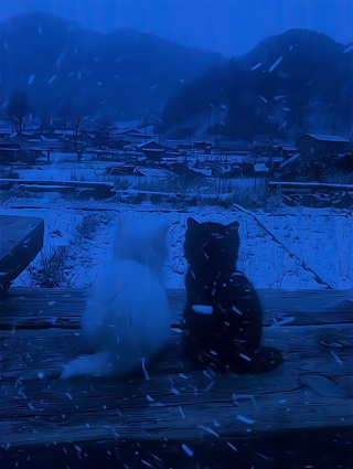 雪中依靠