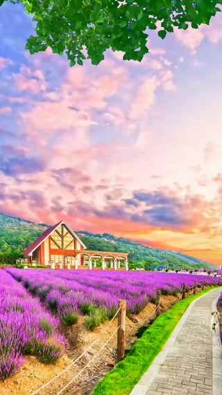 十里桃花