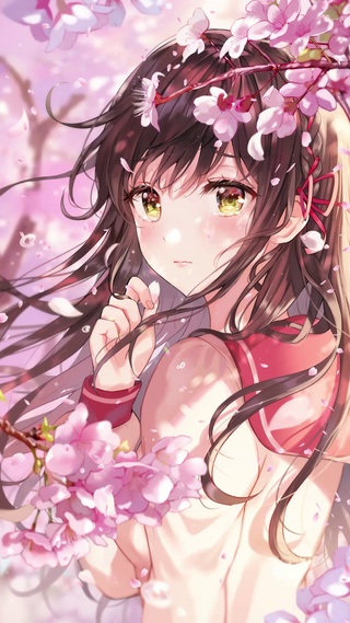 樱落倾心