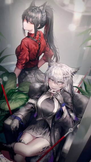 拉狗与德狗4k