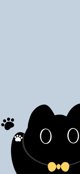 可爱黑猫