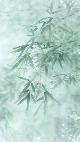 青竹