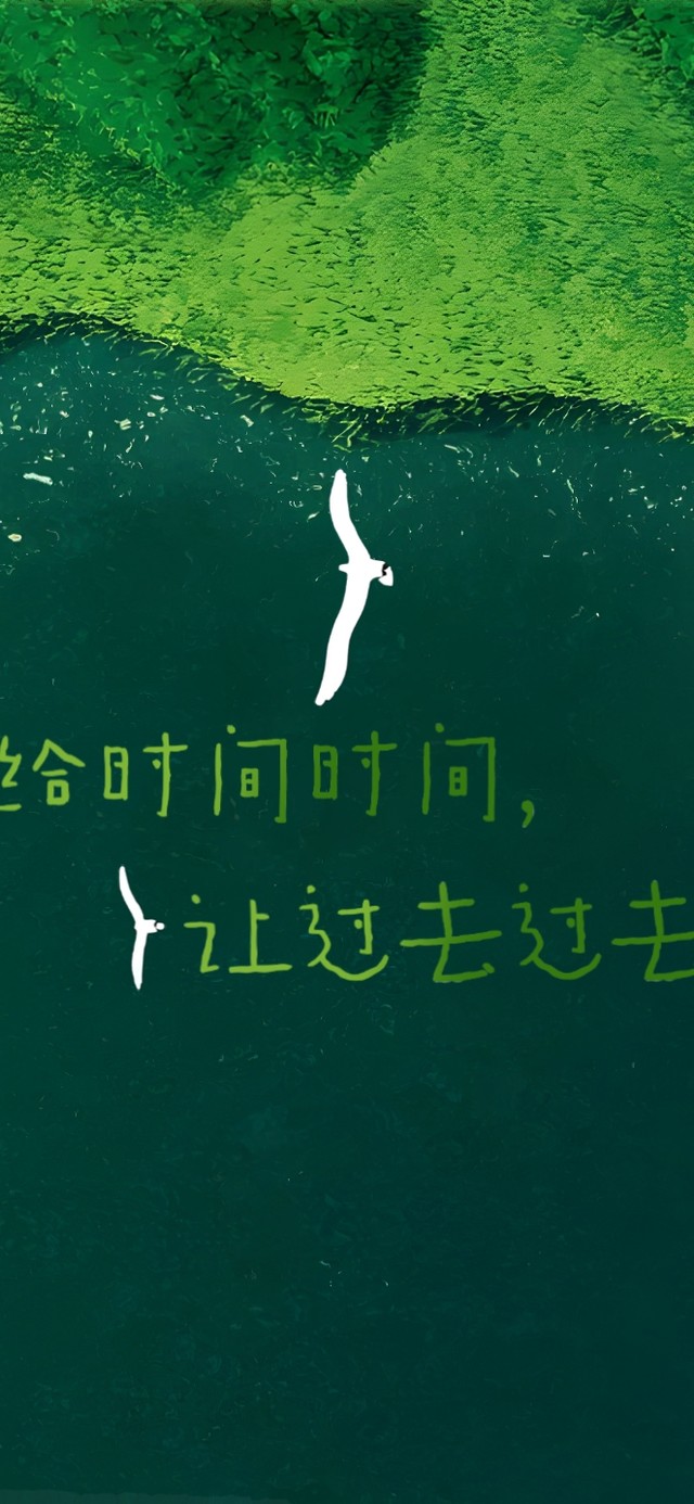 极致疗愈~天地一沙鸥！