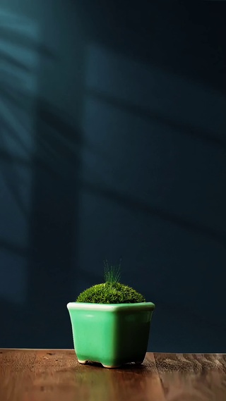 花开