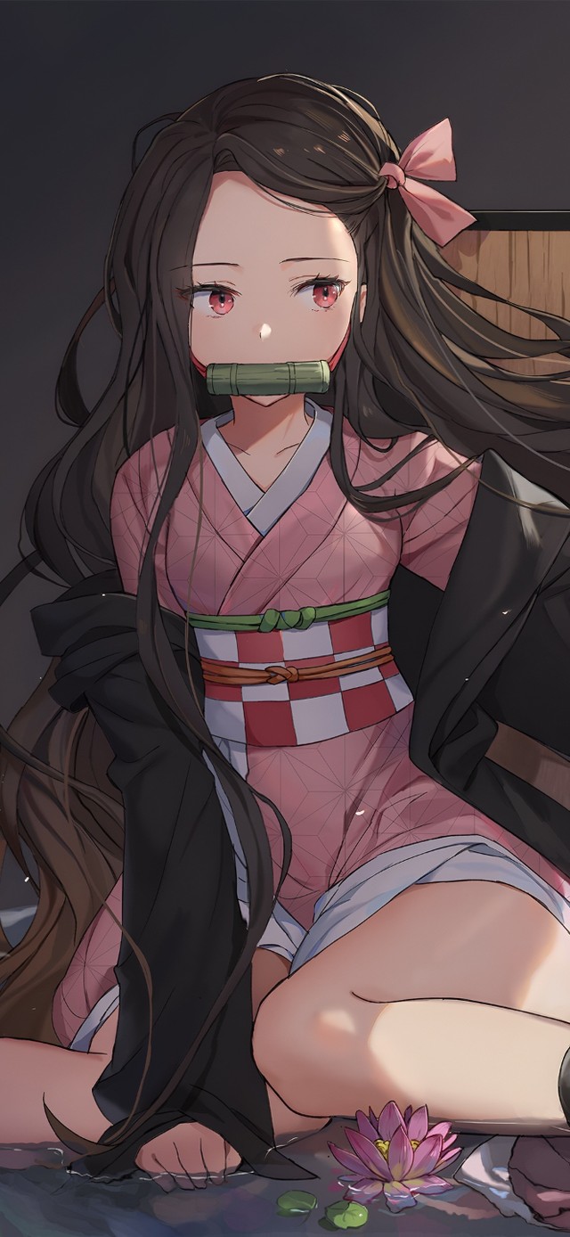 可爱祢豆子