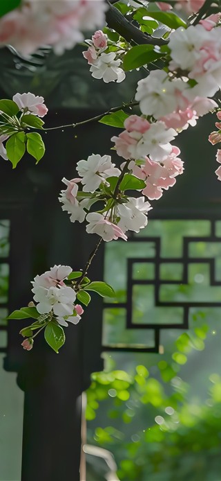 清新护眼浪漫国风庭院