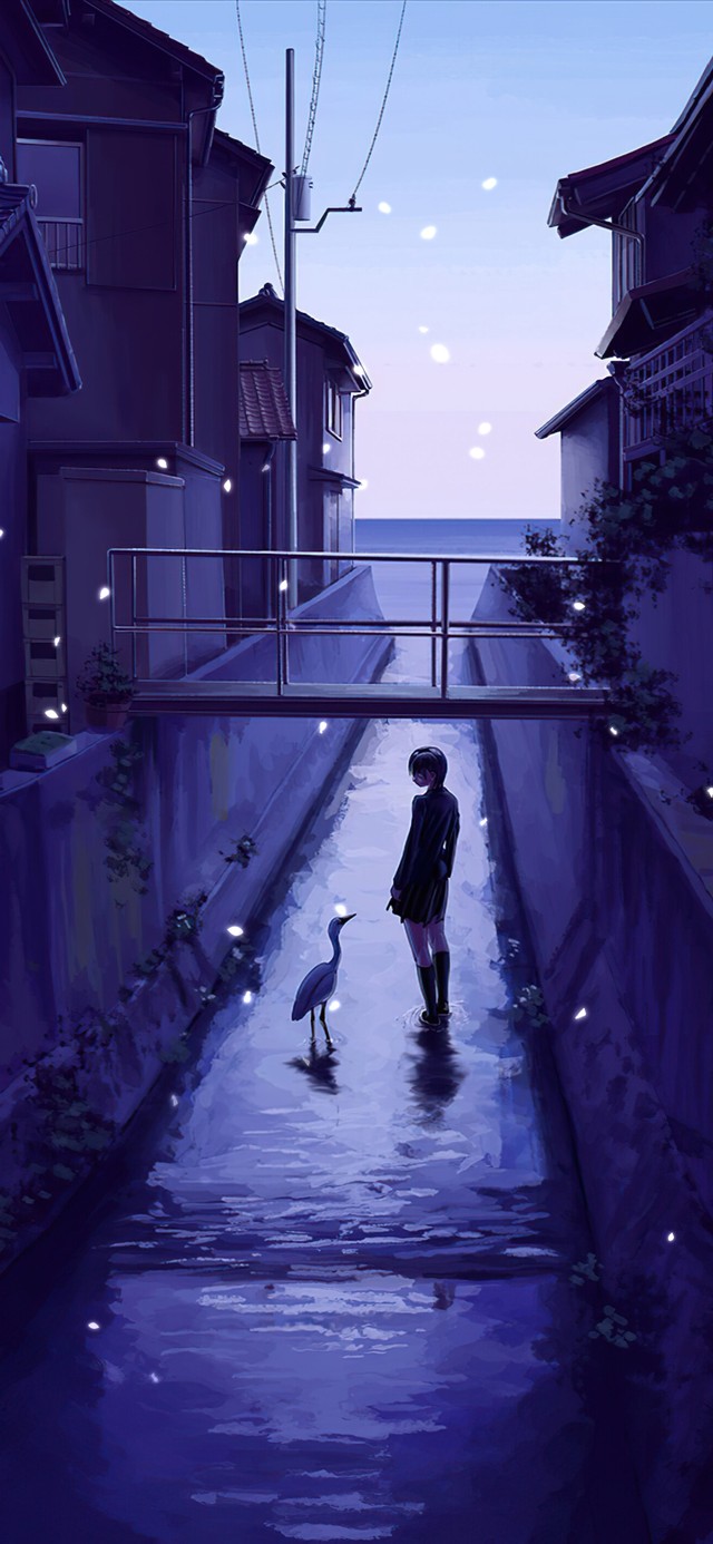 通向海的河道