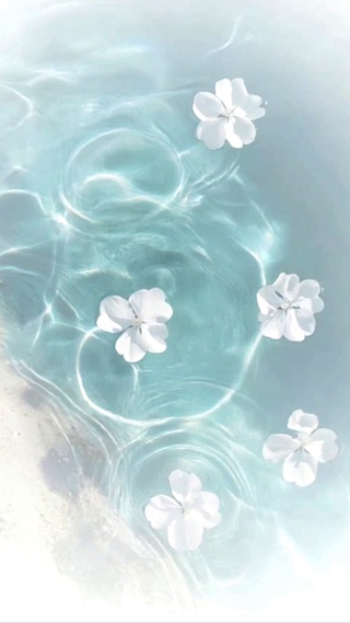 浪漫水波纹